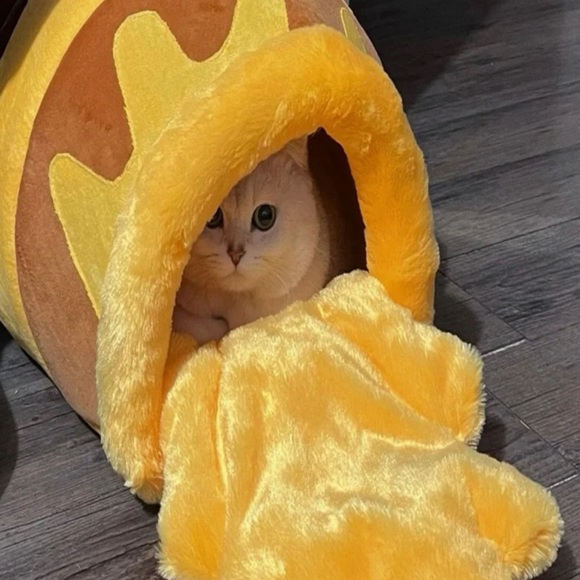 Disneys Theme Winnie the Pooh “Hunny” Cat/Dog Bed - Picture 4 of 5